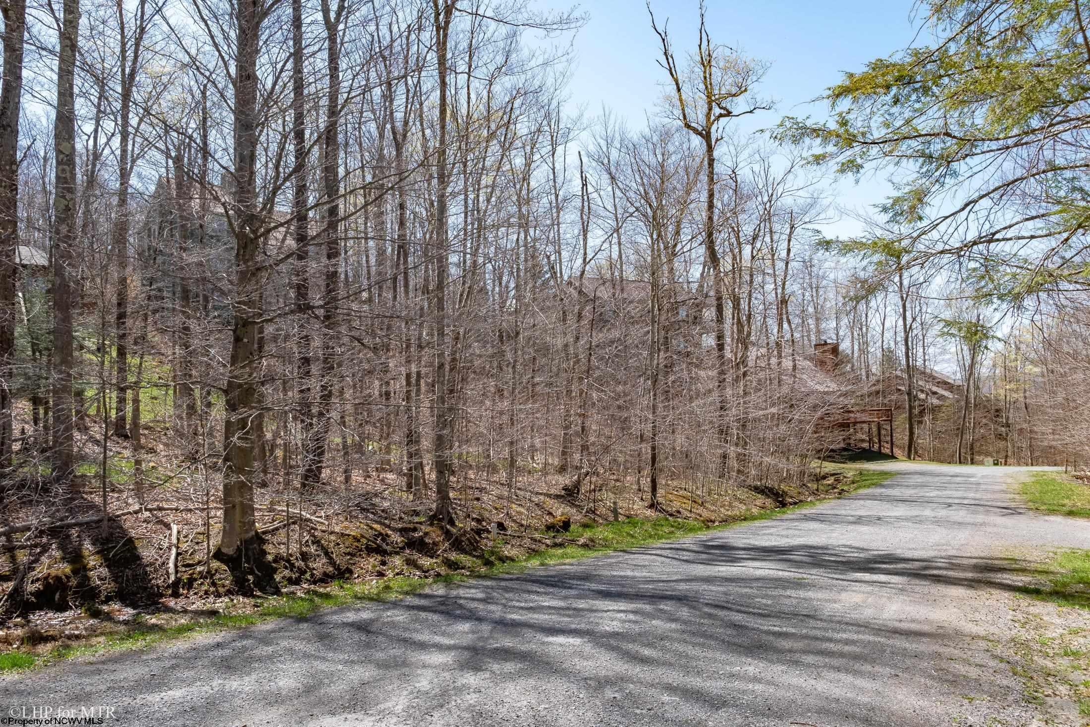 58 Brookside Road Davis, WV 26260 - Photo 8 of 14 Gallery Image 8