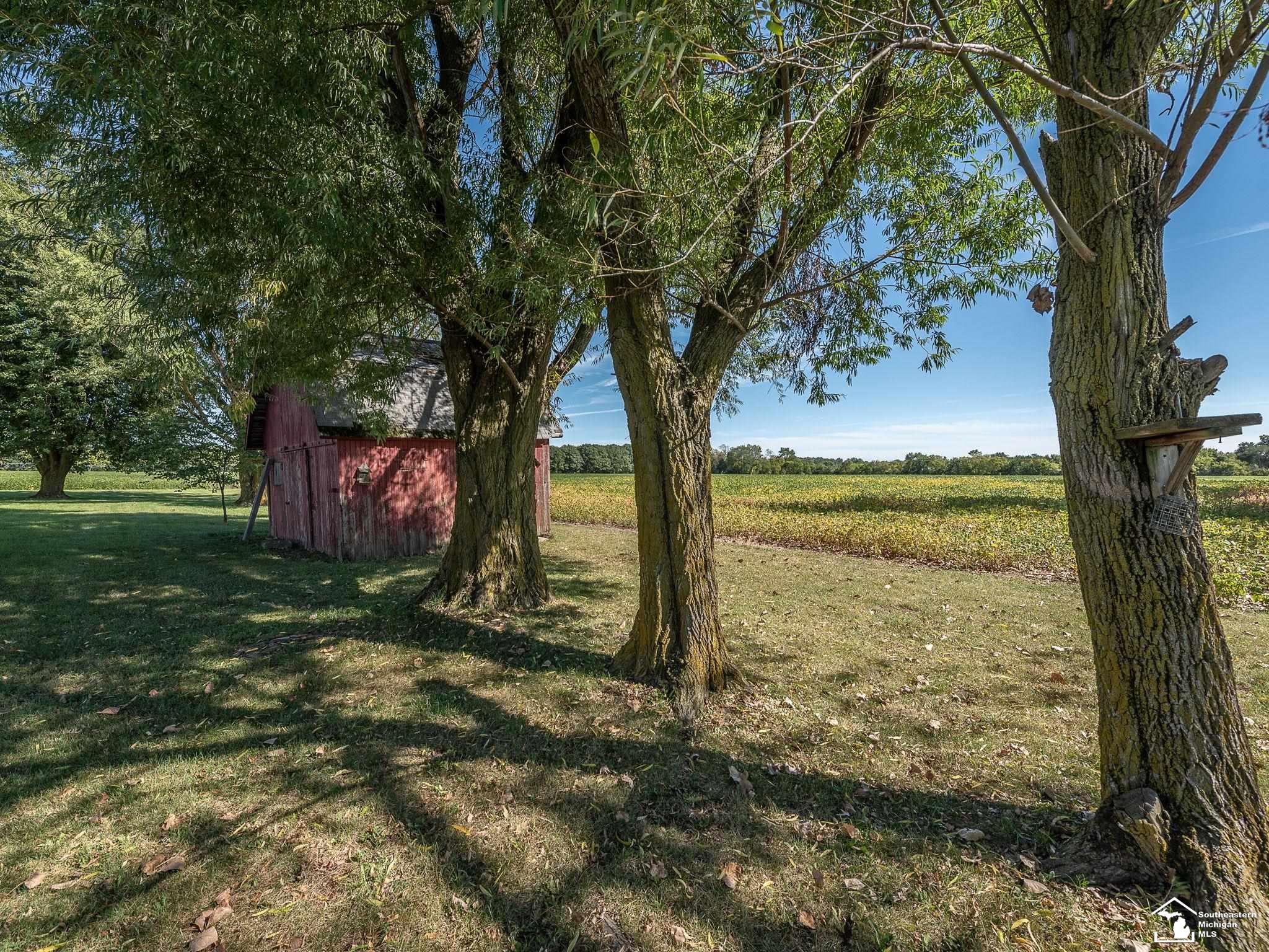 990 Dennison Road Dundee, MI 48131 - Photo 45 of 63 50154198-e15835b0-78d2-497c-96e1-924ca35e943d.JPG