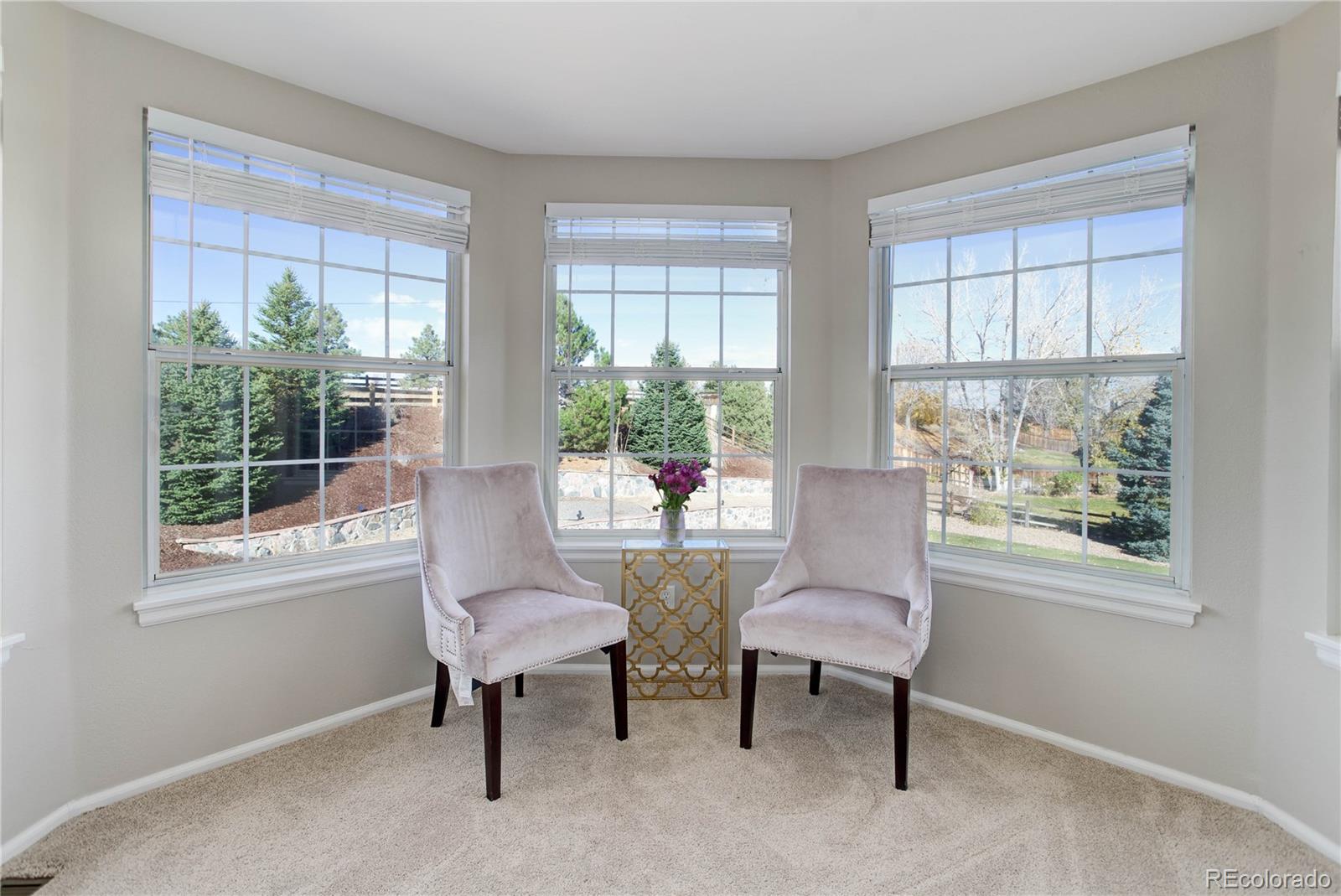 8633 Forrest Way Highlands Ranch, CO 80126 - Photo 25 of 50