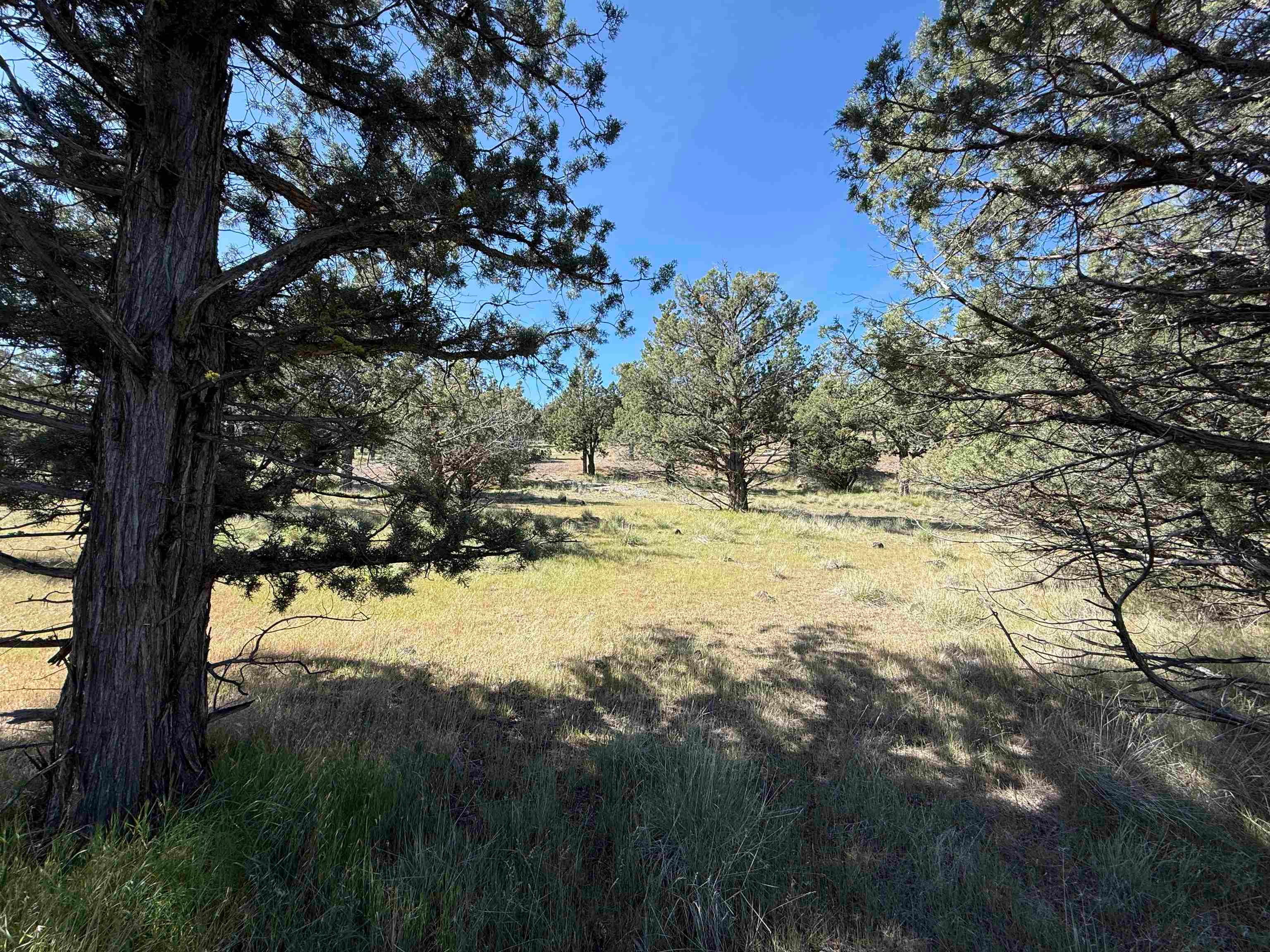 Lot 25 Palomino Road Weed, CA 96094 - Photo 16 of 20 Gallery Image 16