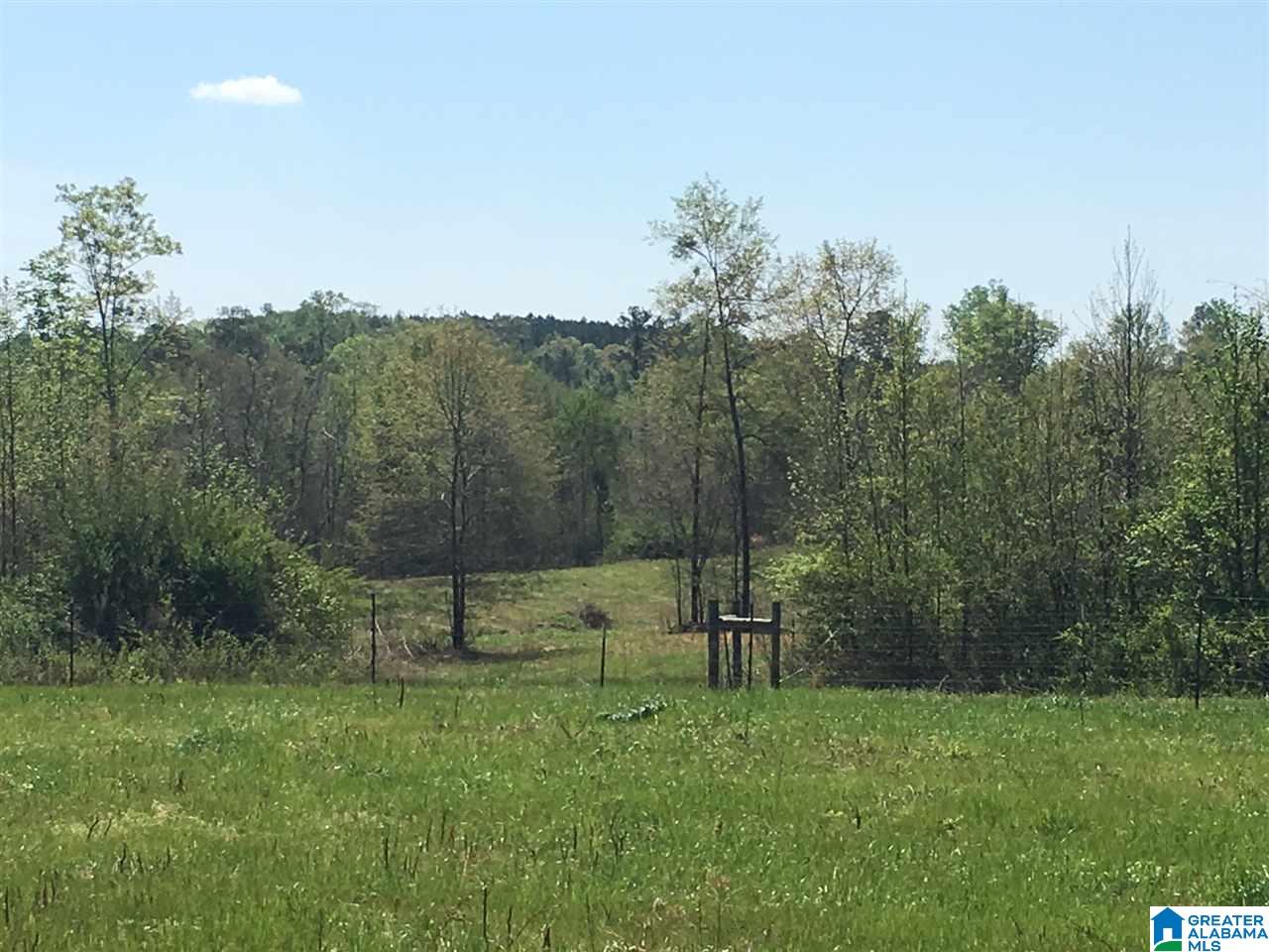 East Mill Street, Unit 37 Lineville, AL 36266 - Photo 15 of 15