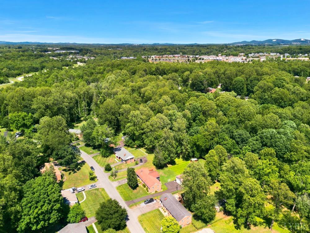 480 Winding Way Road Lynchburg, VA 24502 - Photo 40 of 44
