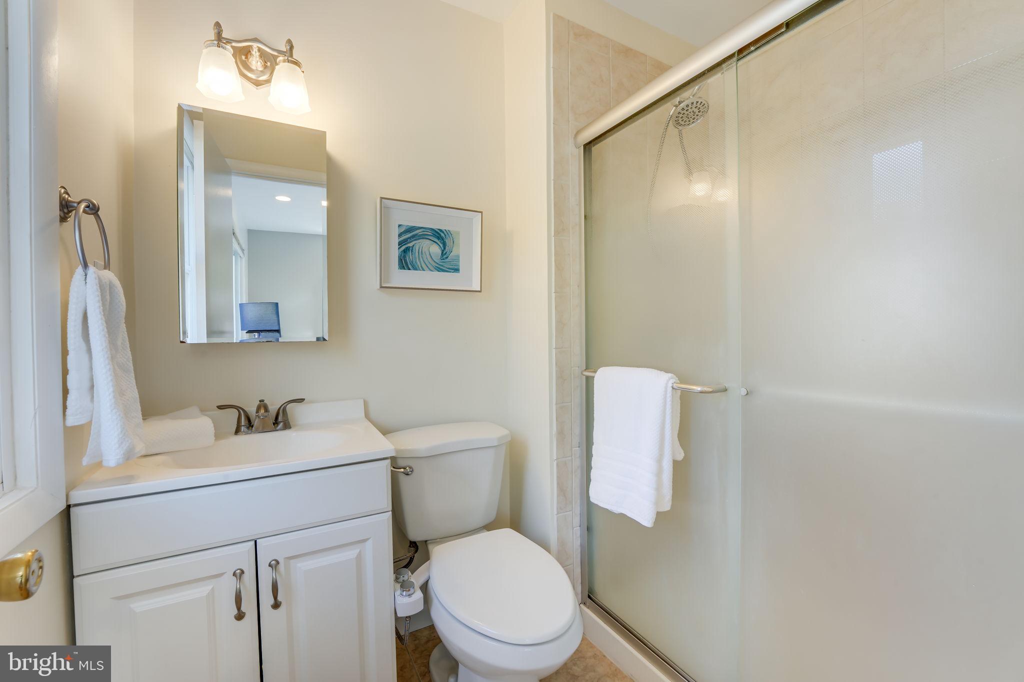 8808 Gateshead Road Alexandria, VA 22309 - Photo 18 of 38 Primary Bathroom