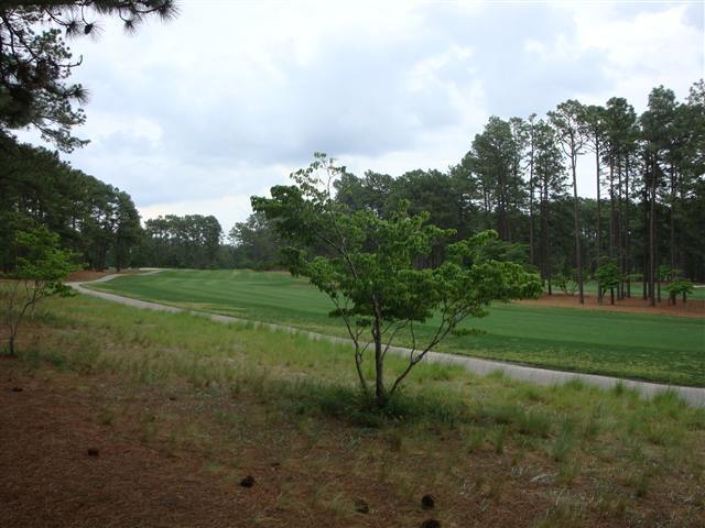 141 Crest Road Southern Pines, NC 28387 - Photo 8 of 9 Additional Photo