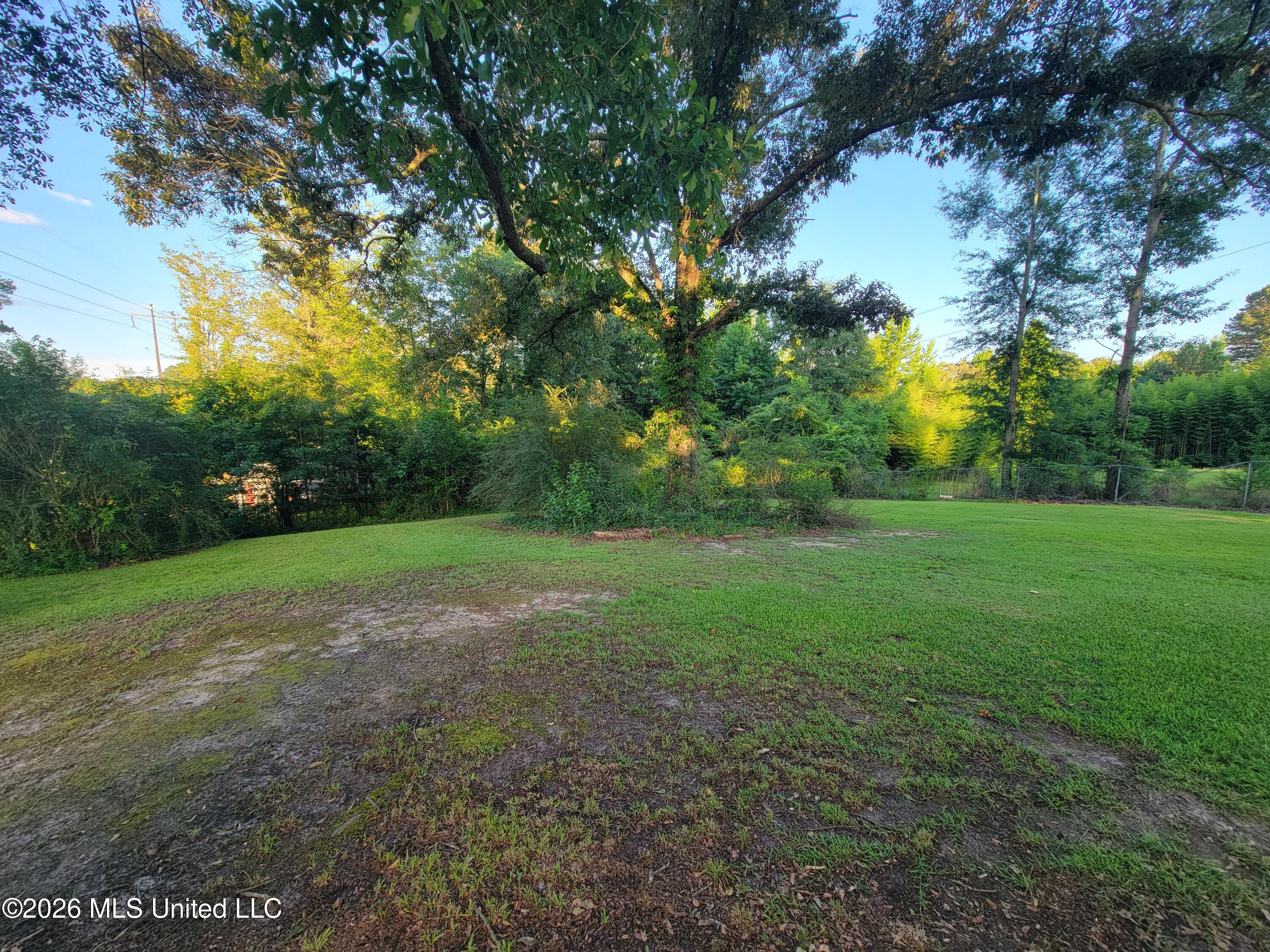 2427 Lawrence Hazel Road Lawrence, MS 39336 - Photo 22 of 24 39541