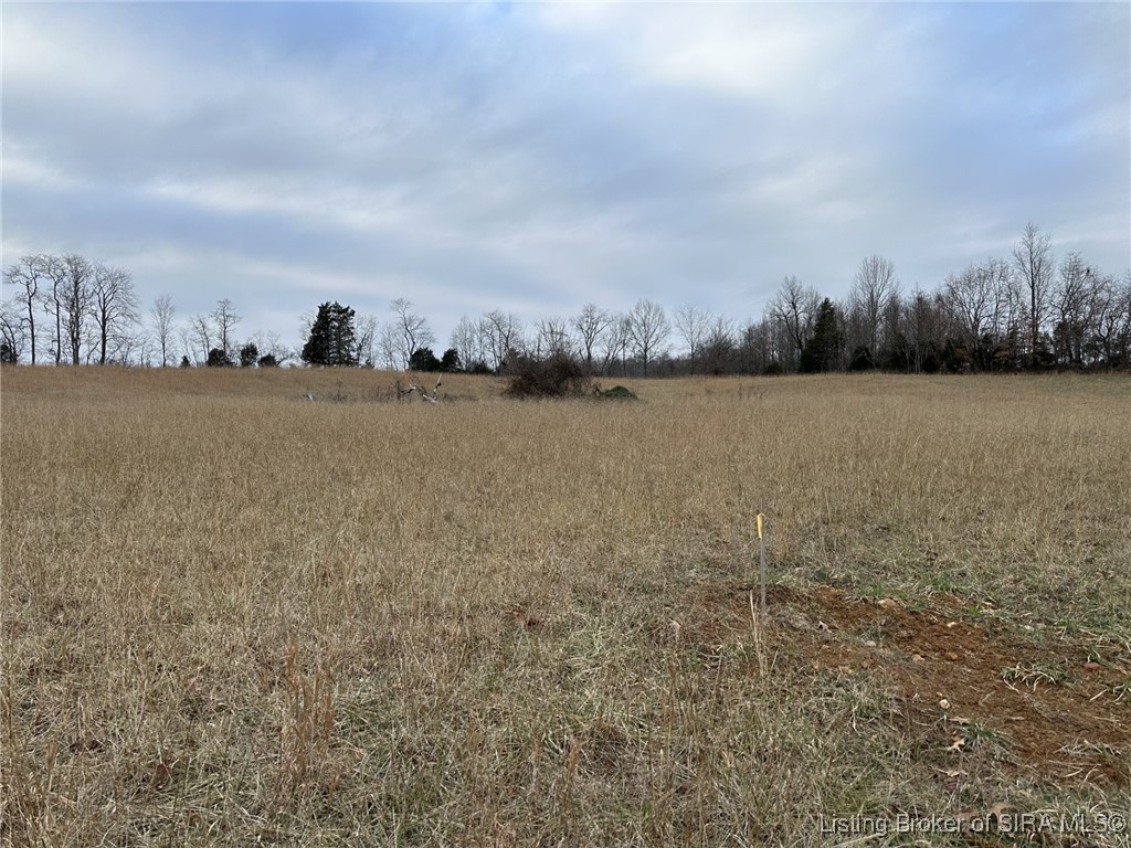 Corydon Junction Road Northeast New Salisbury, IN 47161 - Photo 4 of 9