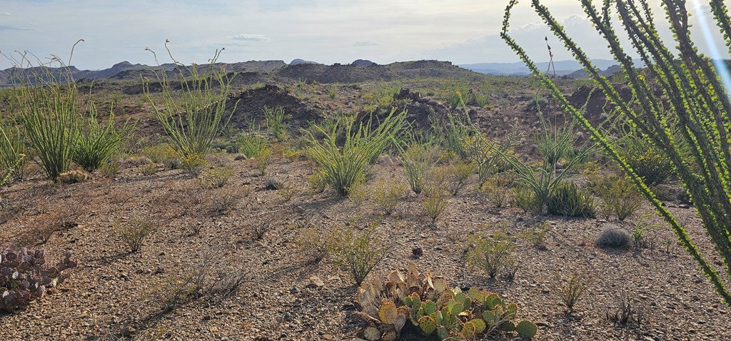 4 Gate 4 Road Alpine, TX 79830 - Photo 26 of 34 Gallery Image 26