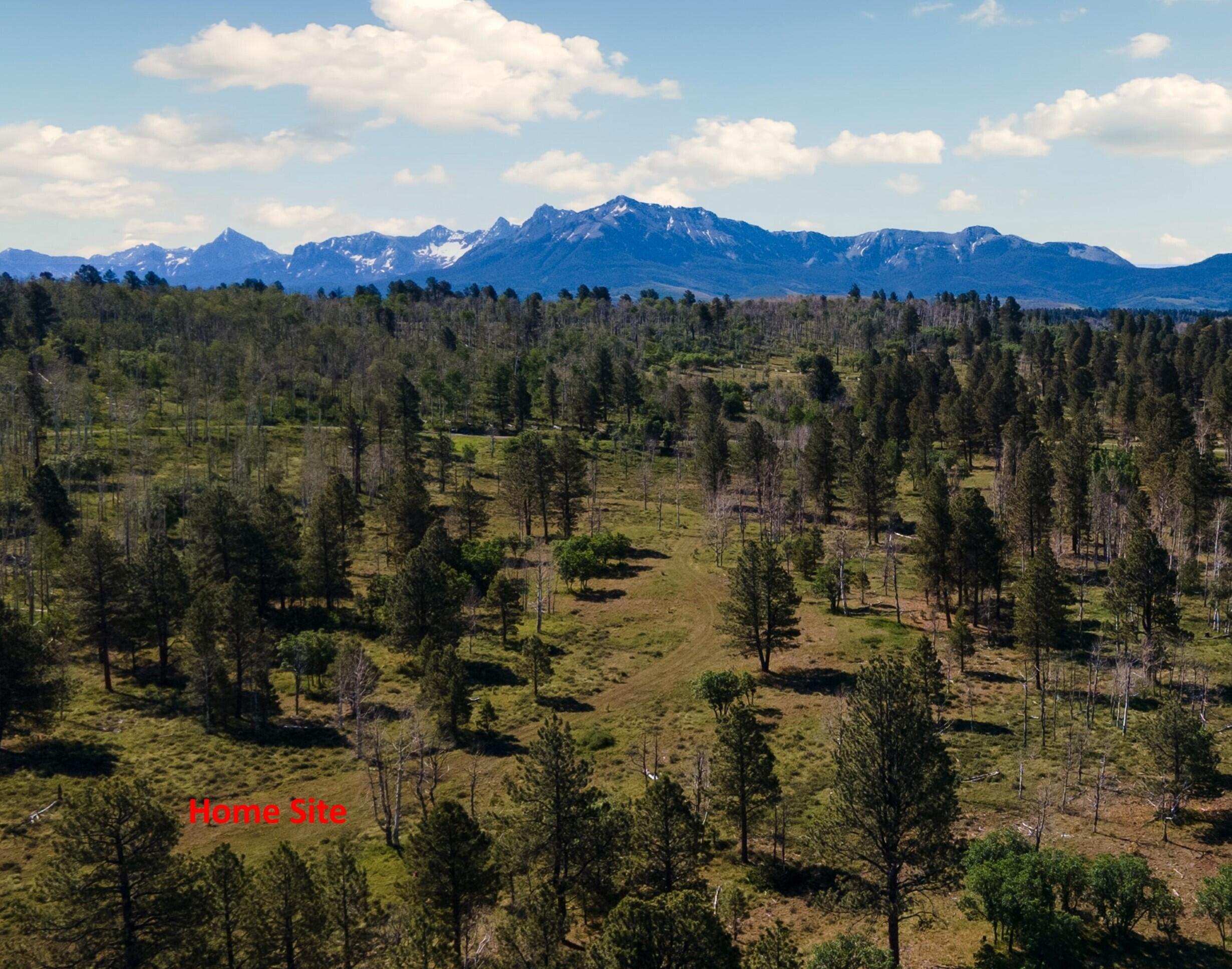 2991 Brown Ranch Road Placerville, CO 81430 - Photo 5 of 8 Lot 7 (Lupine), Brown Ranch