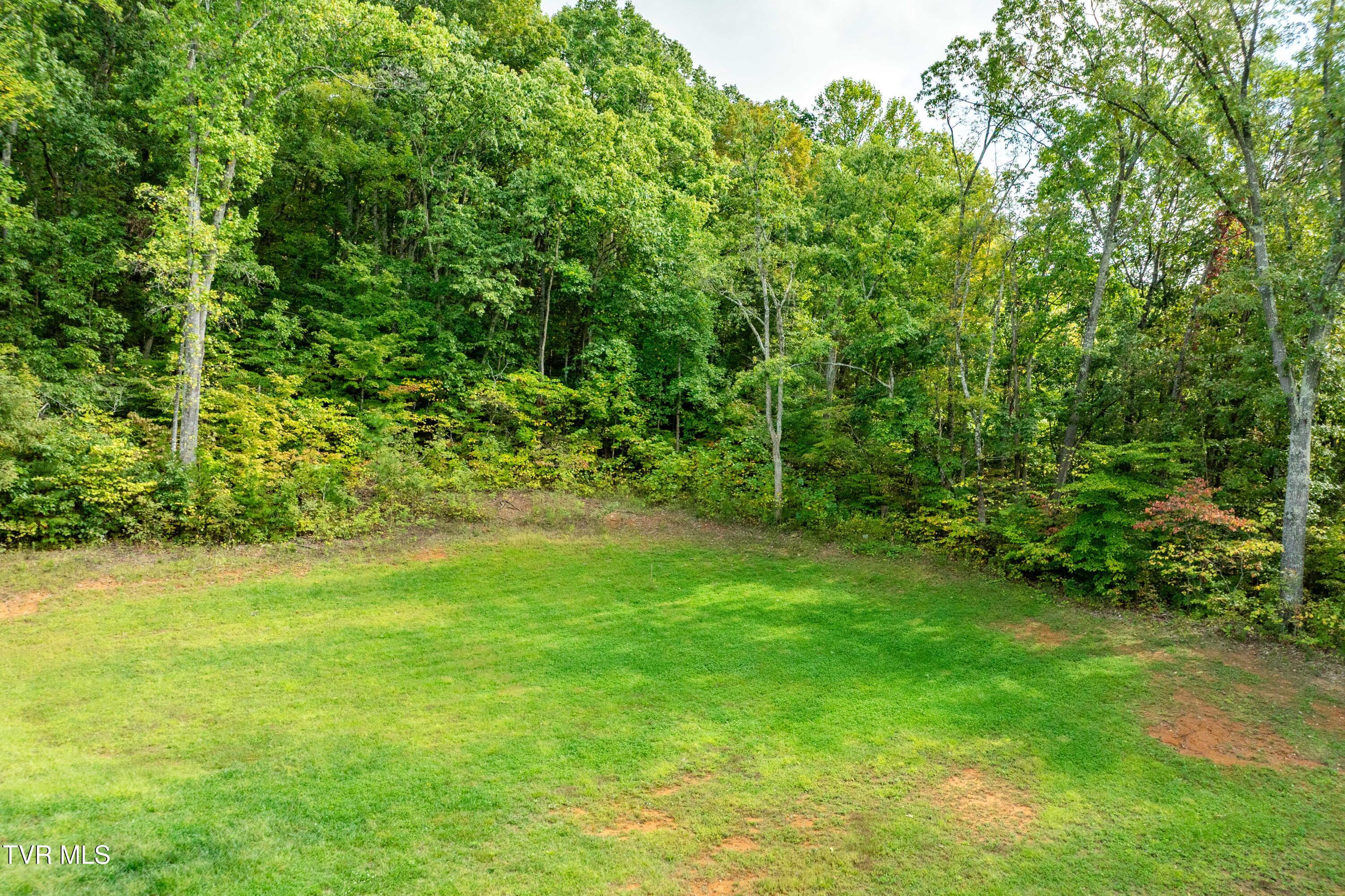 2333 Rock Springs Road Kingsport, TN 37664 - Photo 157 of 165 2333 Rock Springs Road (25 of 169)
