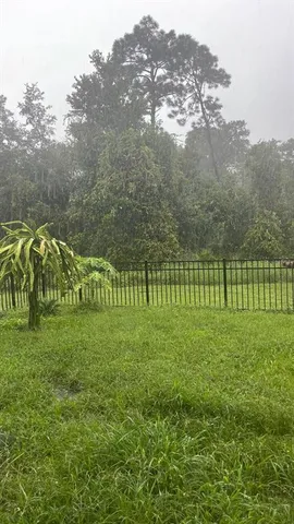 a garden view with a trees