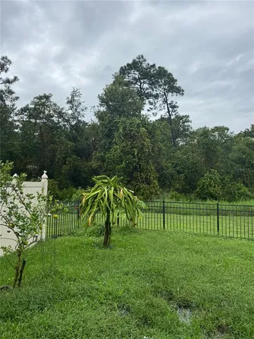 a view of a park with large trees