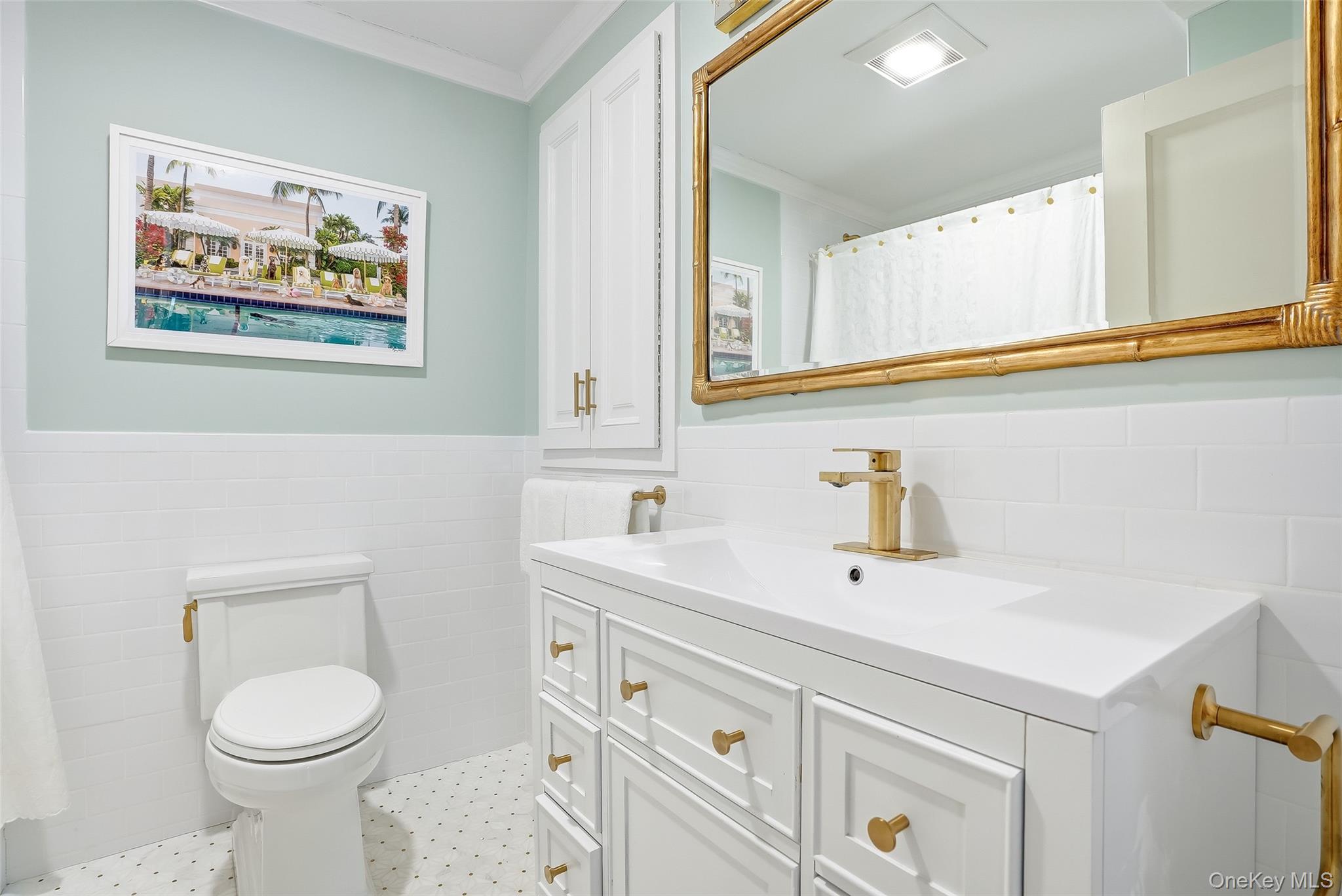 164 Julian Street Rye, NY 10580 - Photo 25 of 38 a bathroom with a toilet a sink and mirror