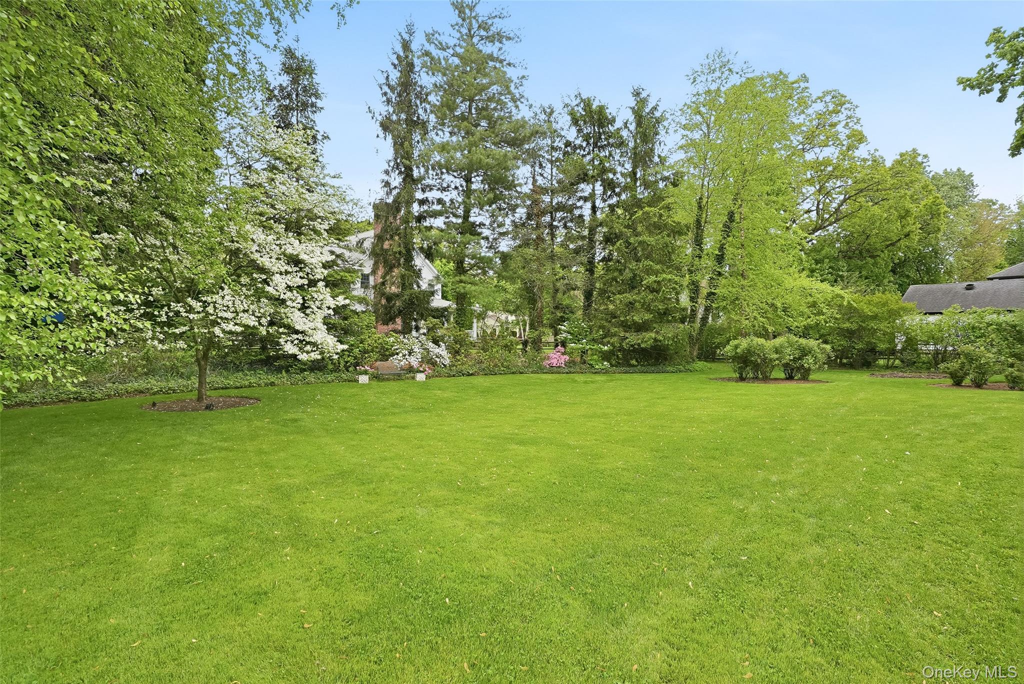 164 Julian Street Rye, NY 10580 - Photo 4 of 38 a view of yard with green space