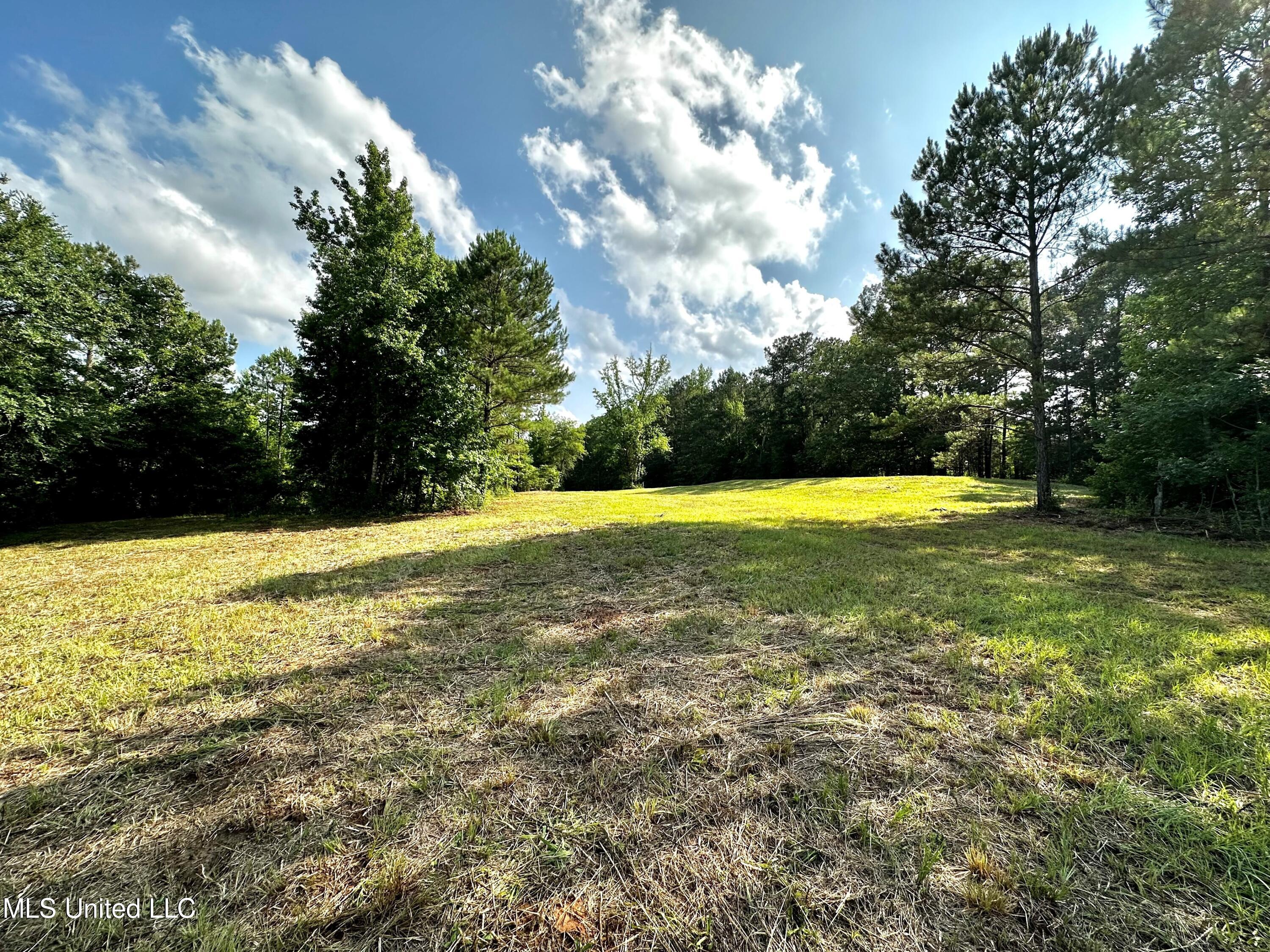 1204 Robinson Road Canton, MS 39046 - Photo 12 of 17 Picture 10