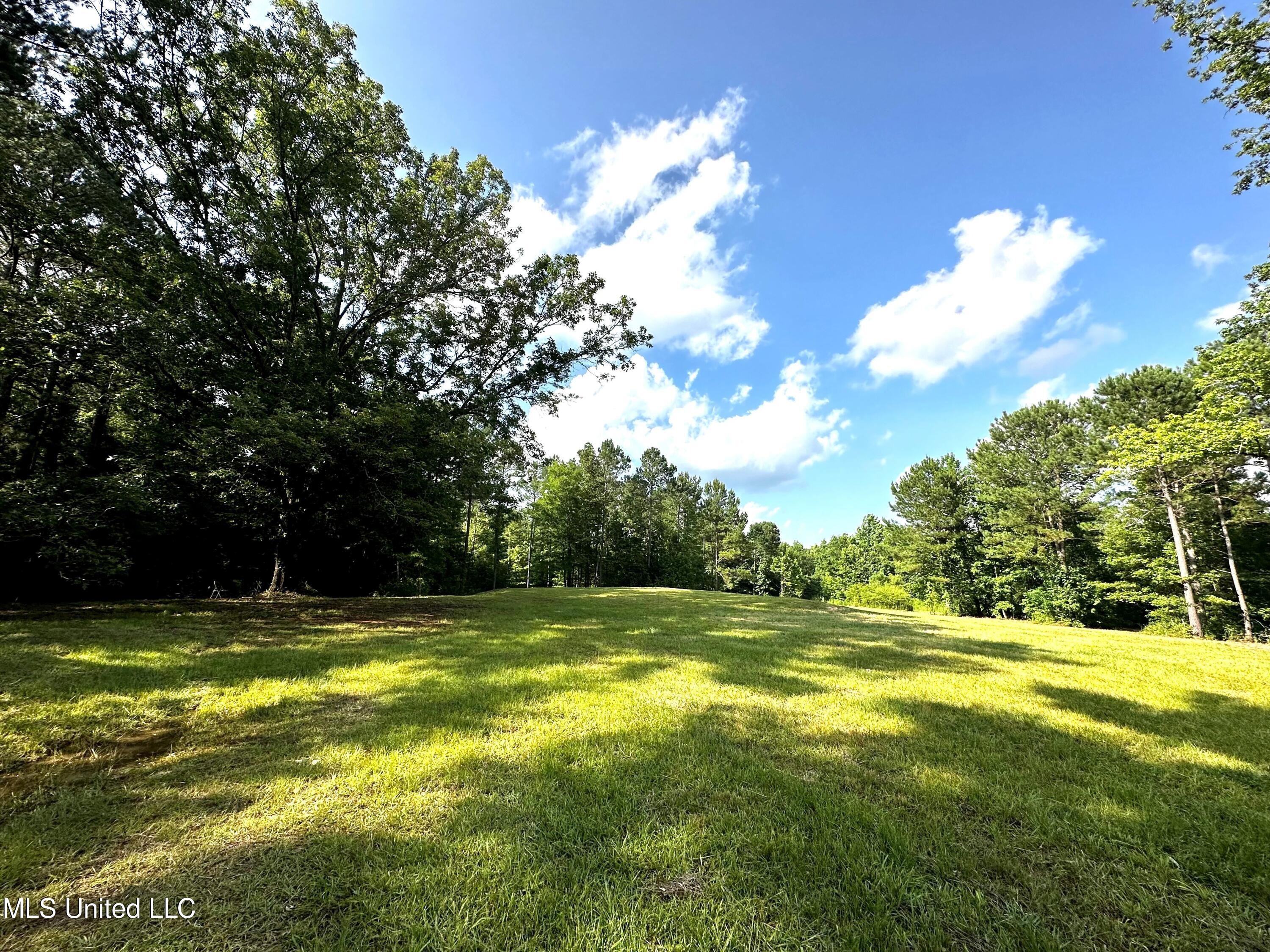1204 Robinson Road Canton, MS 39046 - Photo 4 of 17 looking at house pad from coming in