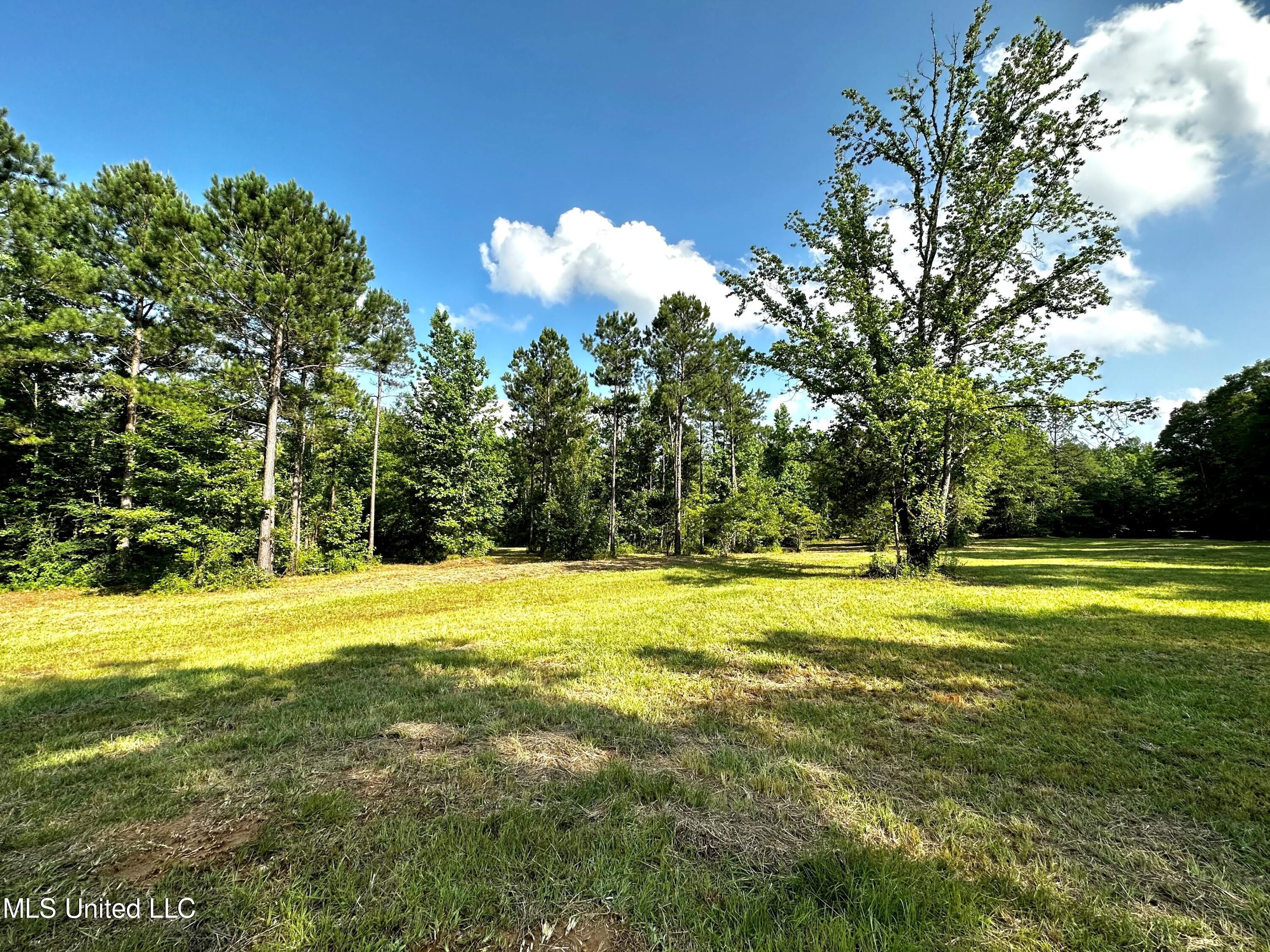 1204 Robinson Road Canton, MS 39046 - Photo 5 of 17 looking at trail