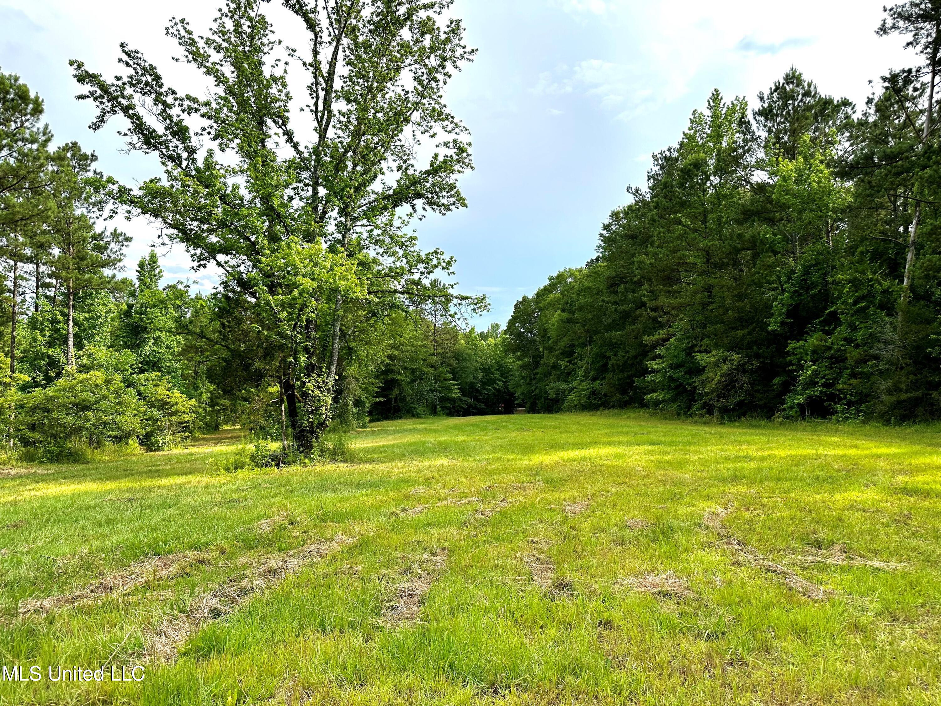 1204 Robinson Road Canton, MS 39046 - Photo 8 of 17 Picture 4
