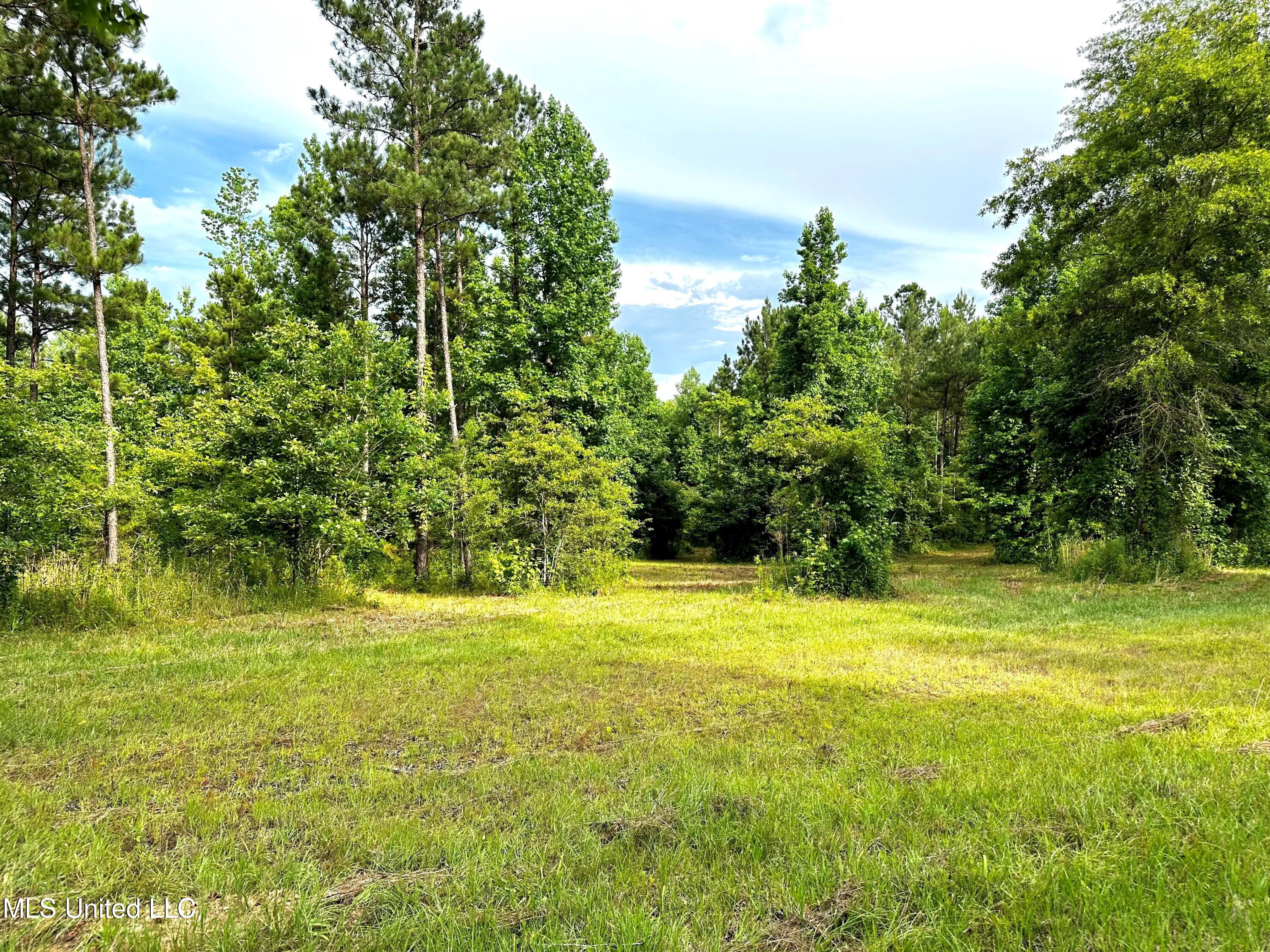 1204 Robinson Road Canton, MS 39046 - Photo 10 of 17 Picture 7