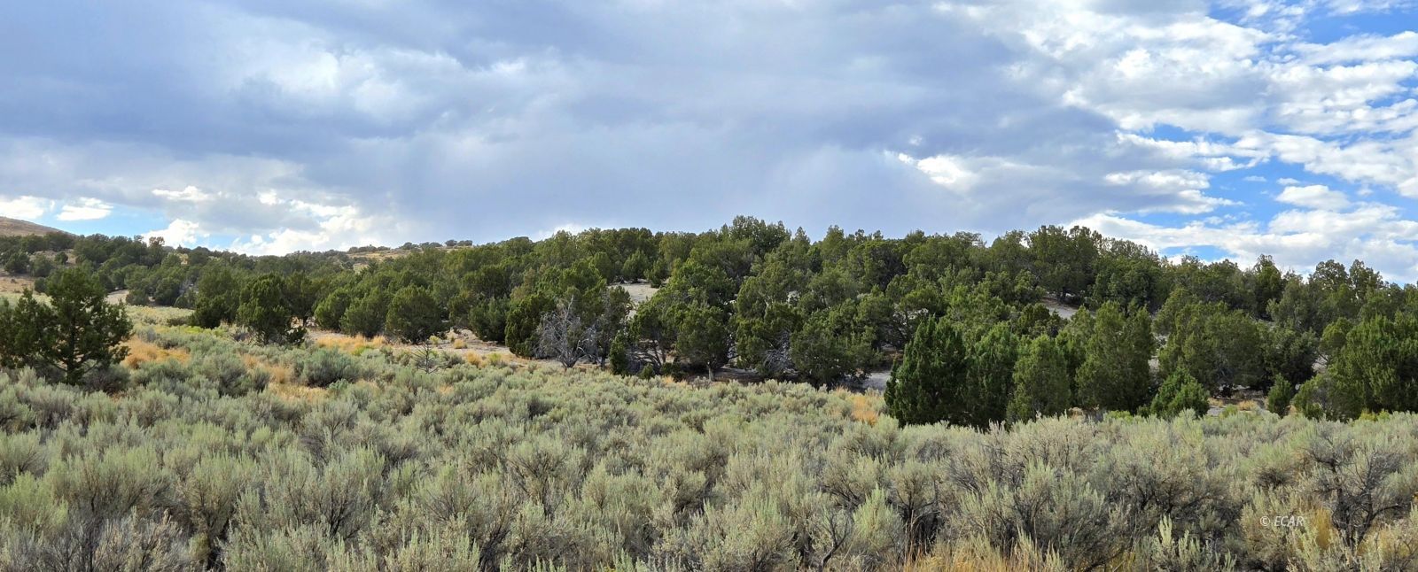 816 Hamilton Stage Road Spring Creek, NV 89815 - Photo 18 of 36 Gallery Image 18