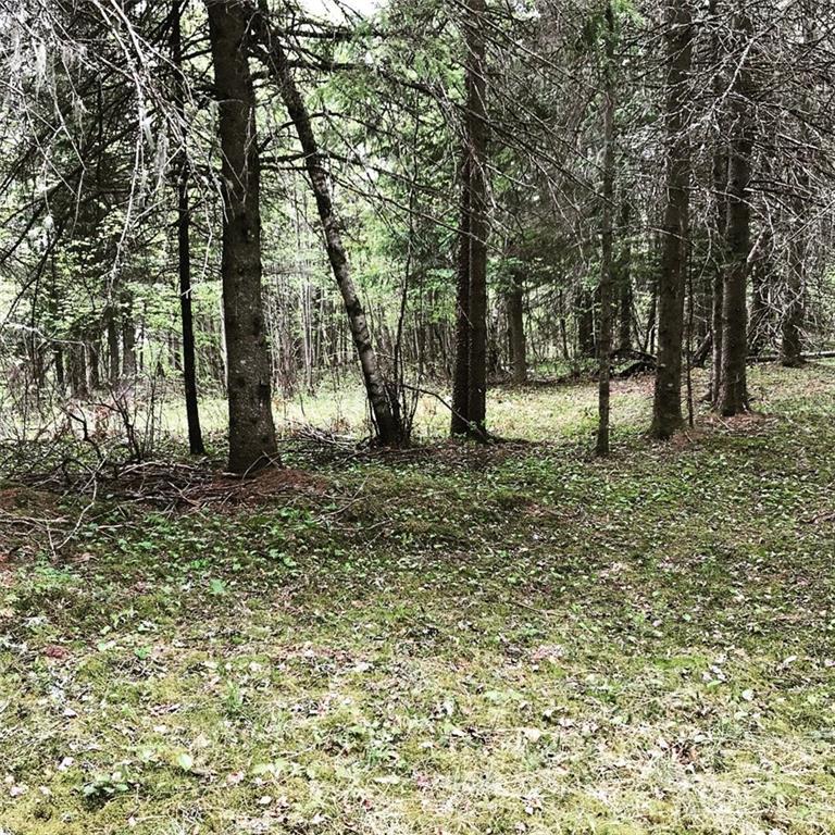 65 Hastings Road Jackman, ME 04945 - Photo 6 of 13 Photo