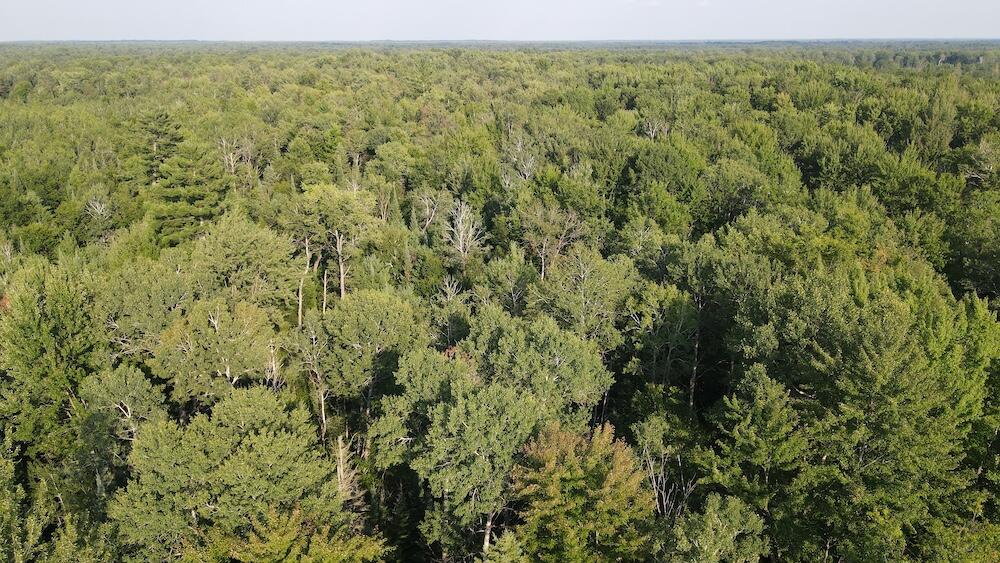 Channel Lake Rd Branch Alger, MI 48610 - Photo 9 of 17 DJI_0983