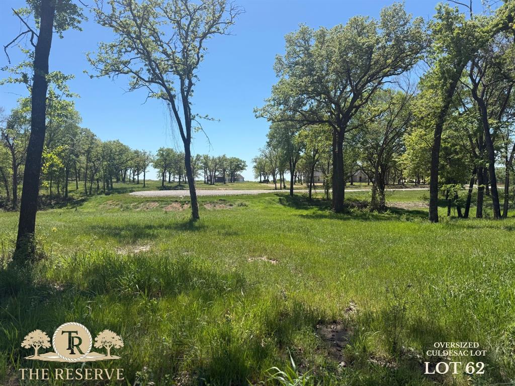 Lot 62-63 Camden Lane Springtown, TX 76082 - Photo 1 of 14 a view of a park with large trees