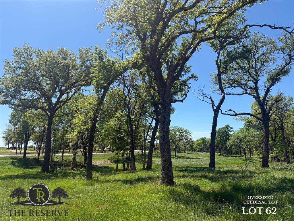 Lot 62-63 Camden Lane Springtown, TX 76082 - Photo 2 of 14 a view of an outdoor space with a lake view