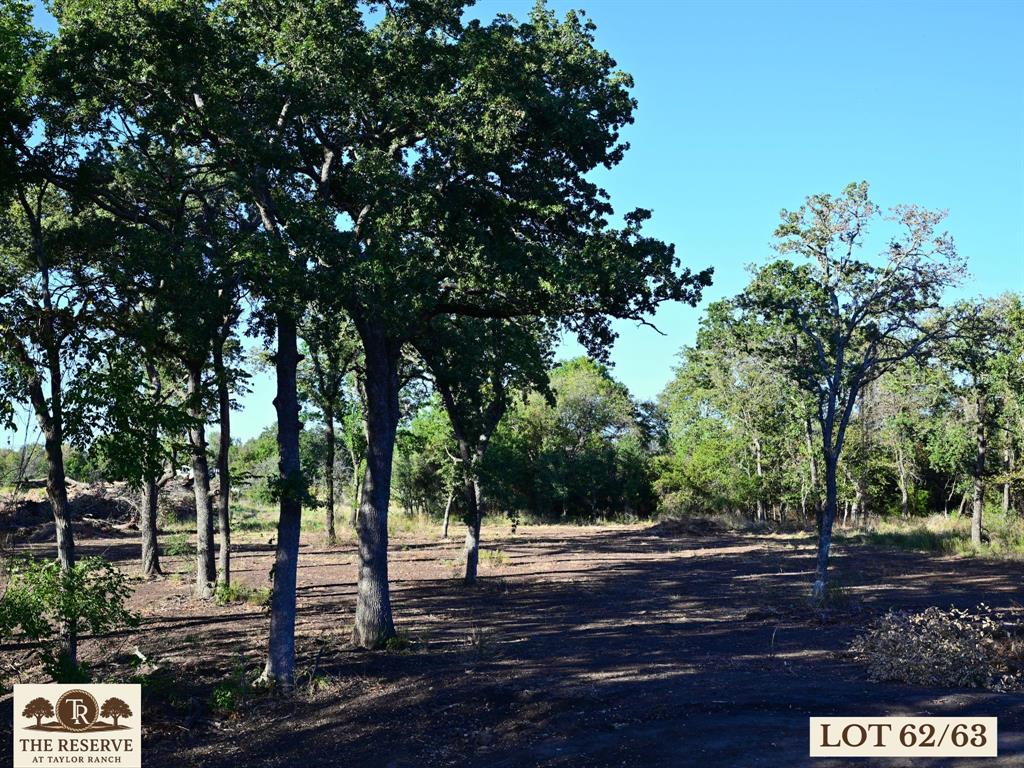 Lot 62-63 Camden Lane Springtown, TX 76082 - Photo 7 of 14 a view of street with trees