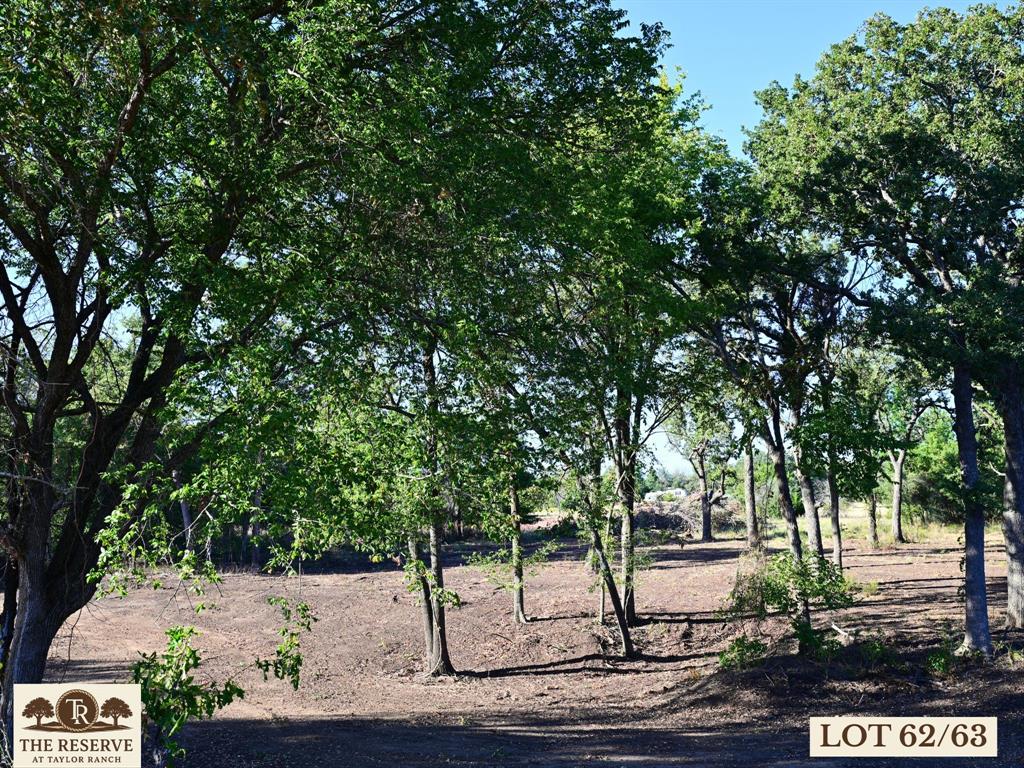 Lot 62-63 Camden Lane Springtown, TX 76082 - Photo 8 of 14 a view of street along with trees