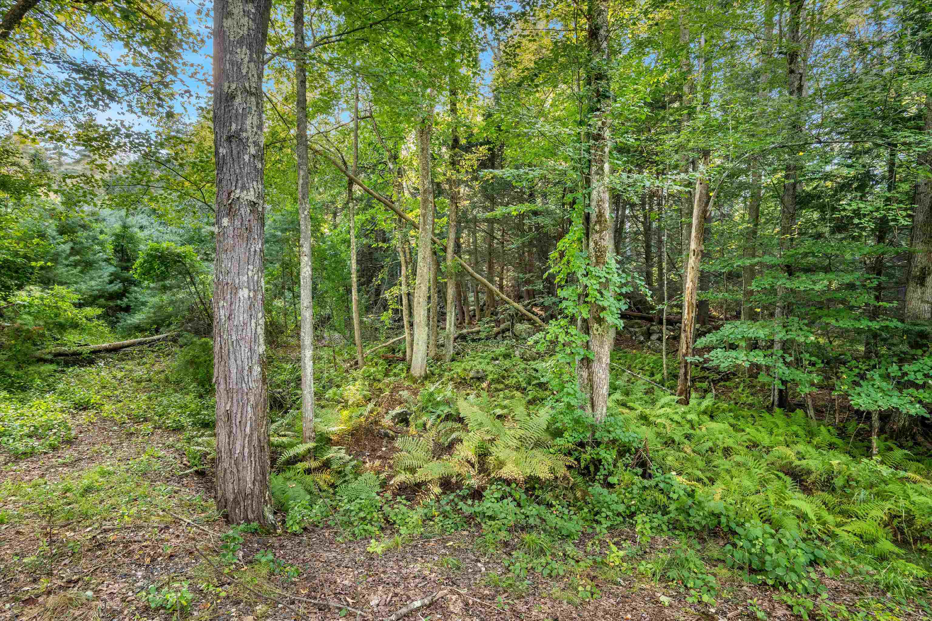 Jenkins Road, Unit 8 Bedford, NH 03110 - Photo 15 of 15
