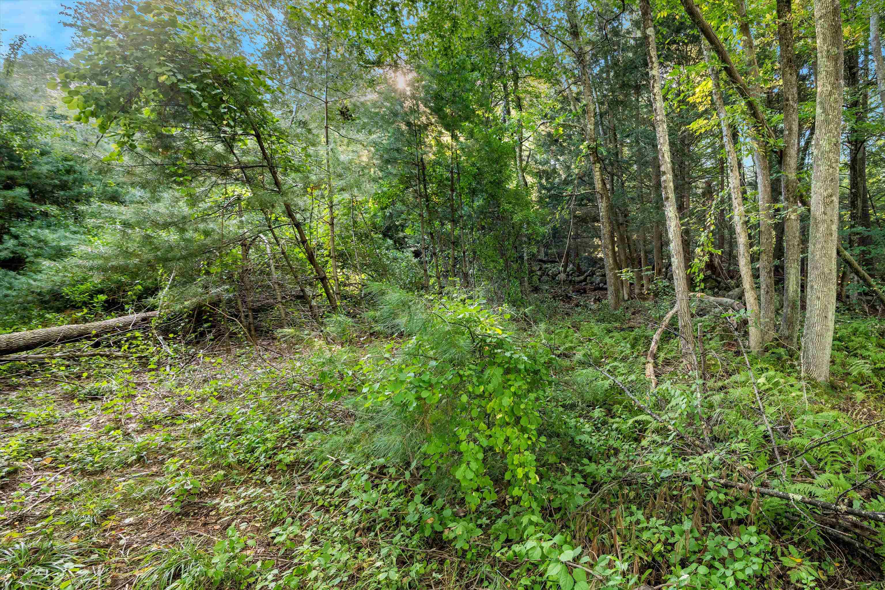 Jenkins Road, Unit 8 Bedford, NH 03110 - Photo 4 of 15