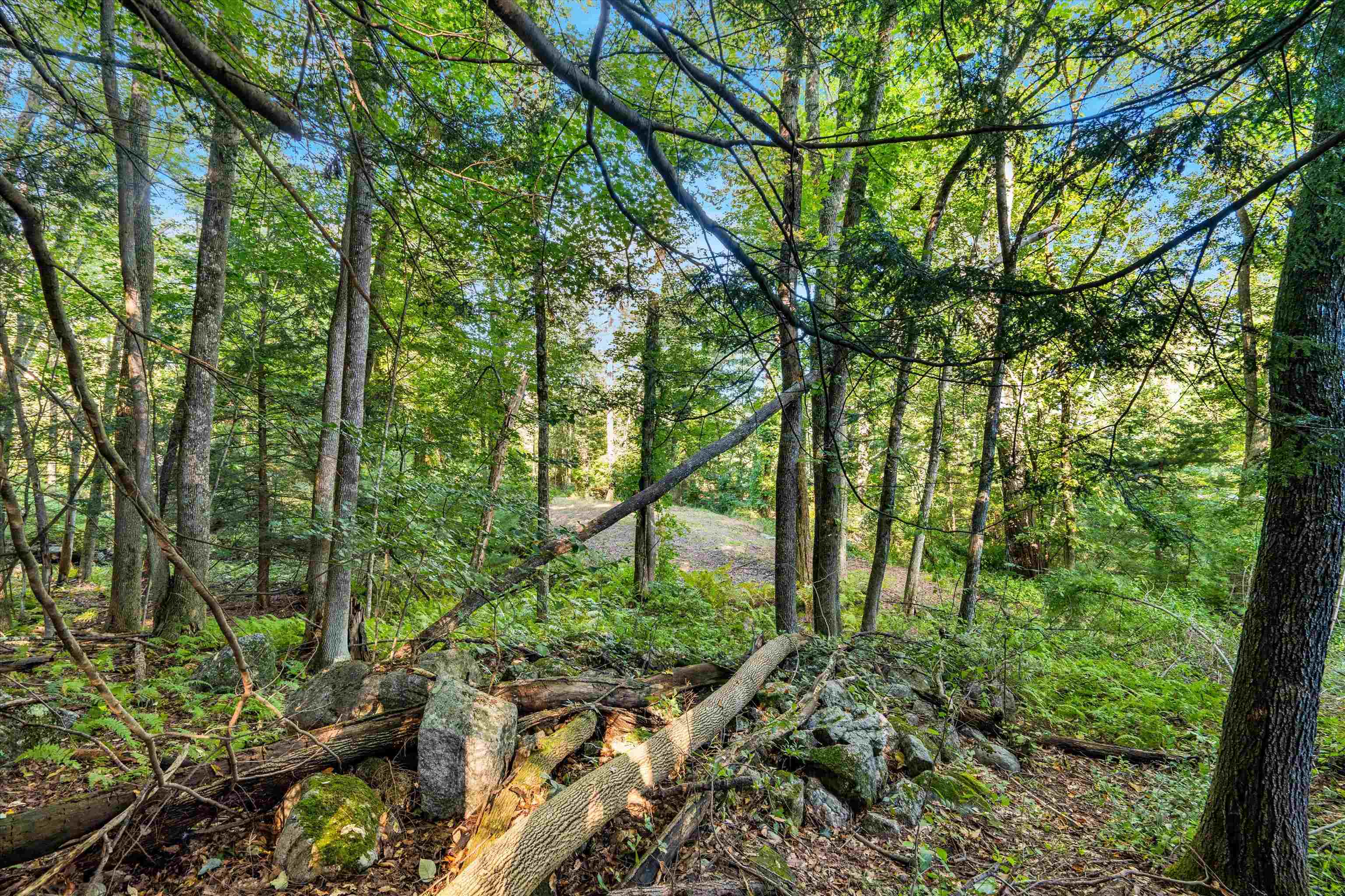 Jenkins Road, Unit 8 Bedford, NH 03110 - Photo 6 of 15