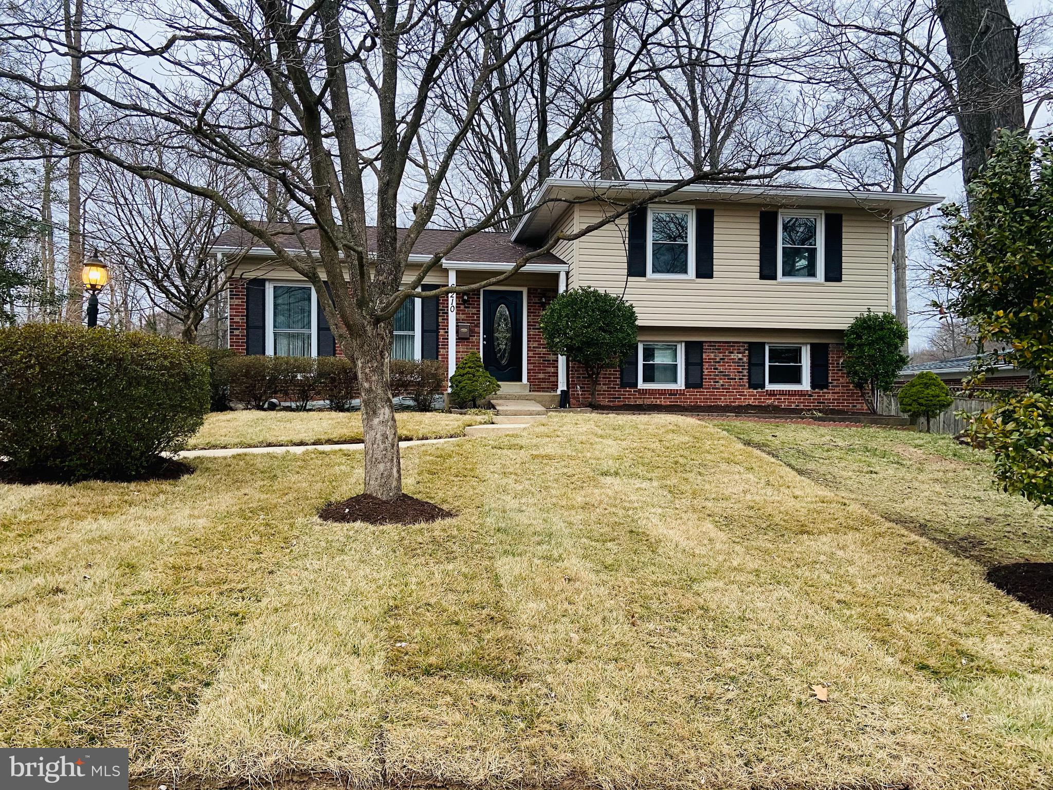 6210 Tyner Street Springfield, VA 22152 - Photo 34 of 41 Gallery Image 34