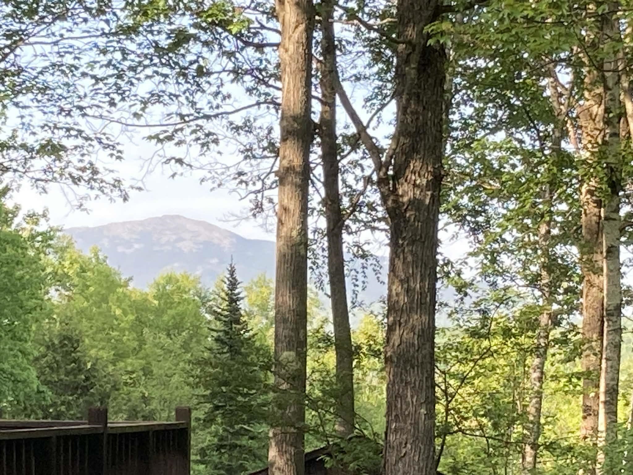 223 South Main Street Troy, NH 03465 - Photo 35 of 37