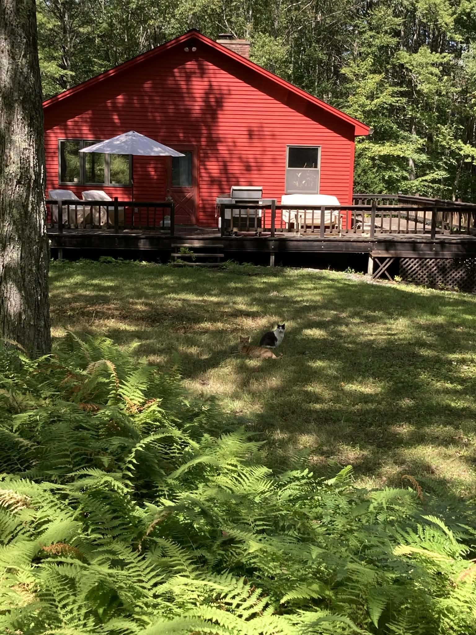 223 South Main Street Troy, NH 03465 - Photo 37 of 37