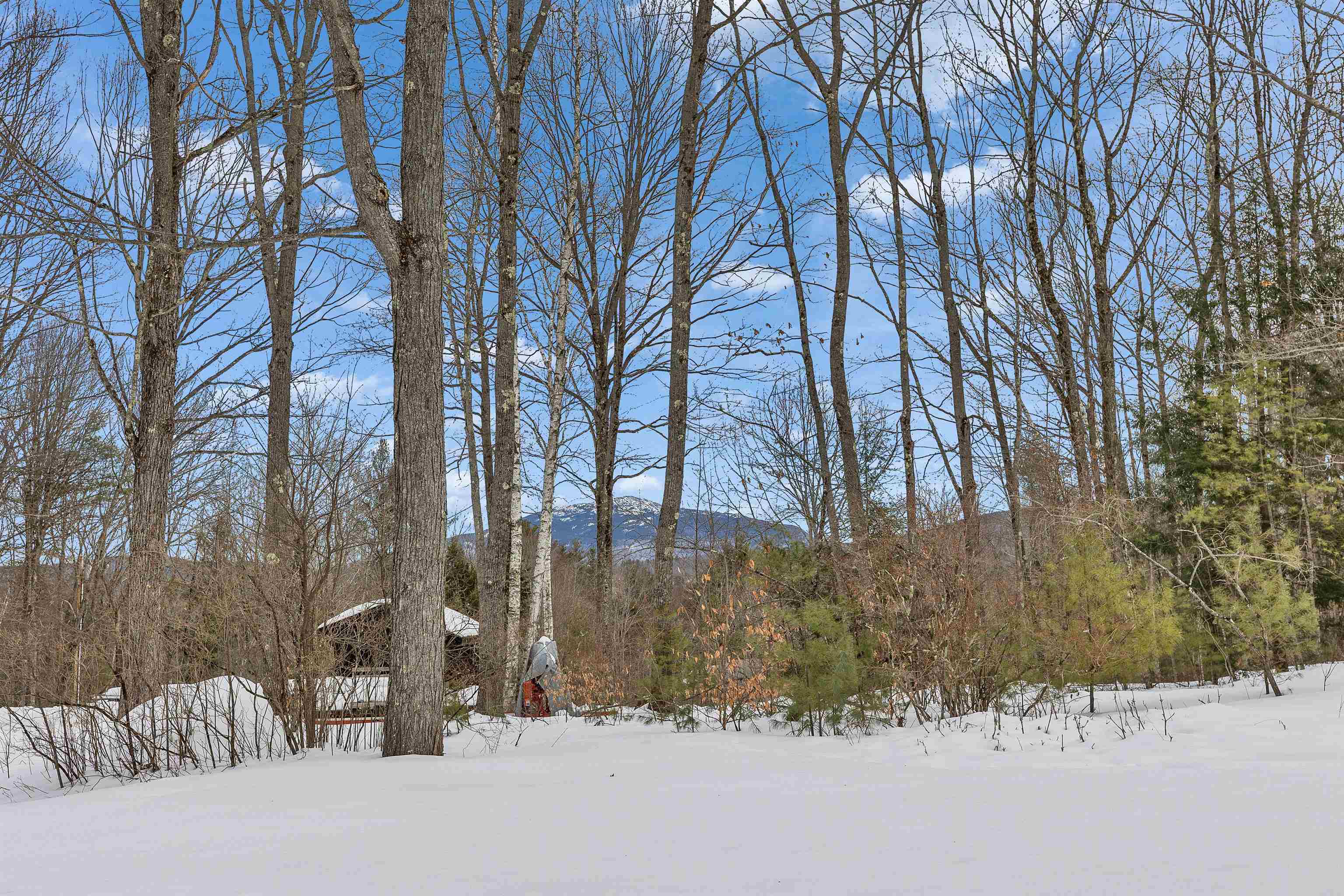 223 South Main Street Troy, NH 03465 - Photo 5 of 37