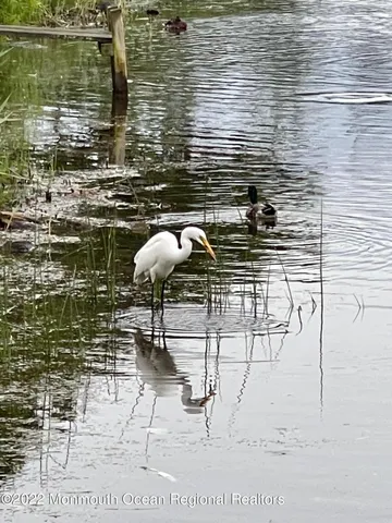 $1,600 | 310 Maryland Avenue, Unit 19B, Point Pleasant Beach, NJ 08742