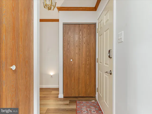 a view of a bathroom with wooden floor