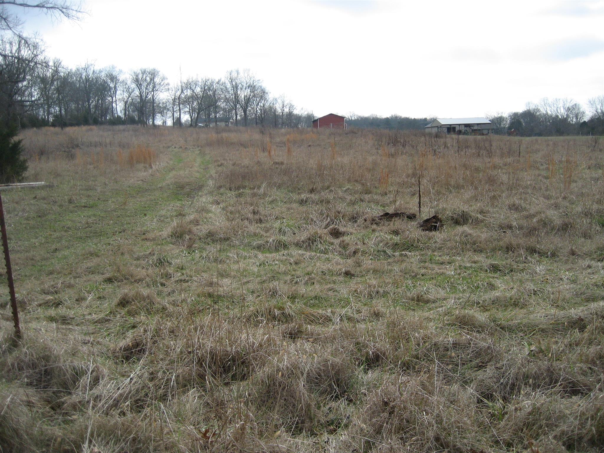 5320 Flat Creek Road Spring Hill, TN 37174 - Photo 1 of 6 a view of a dry yard with trees in the background
