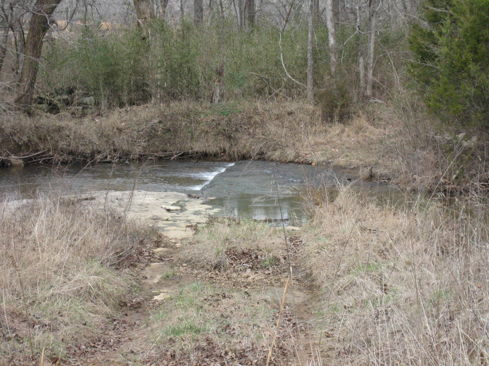 5320 Flat Creek Road Spring Hill, TN 37174 - Photo 4 of 6 a view of a dry yard with trees