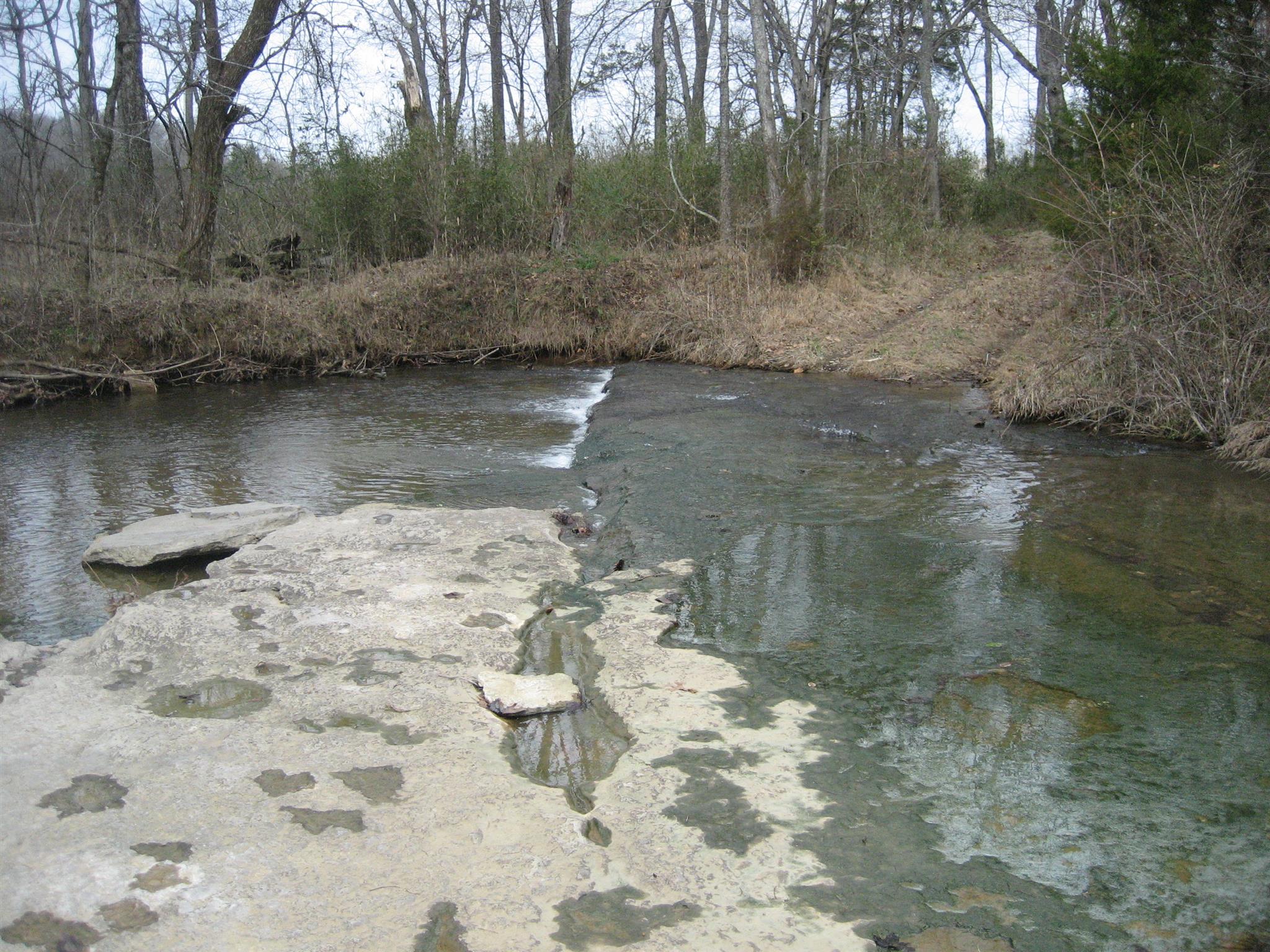5320 Flat Creek Road Spring Hill, TN 37174 - Photo 5 of 6 a view of a lake view
