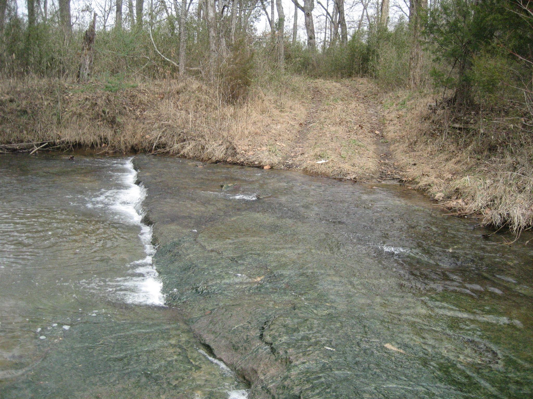 5320 Flat Creek Road Spring Hill, TN 37174 - Photo 6 of 6 a view of a yard