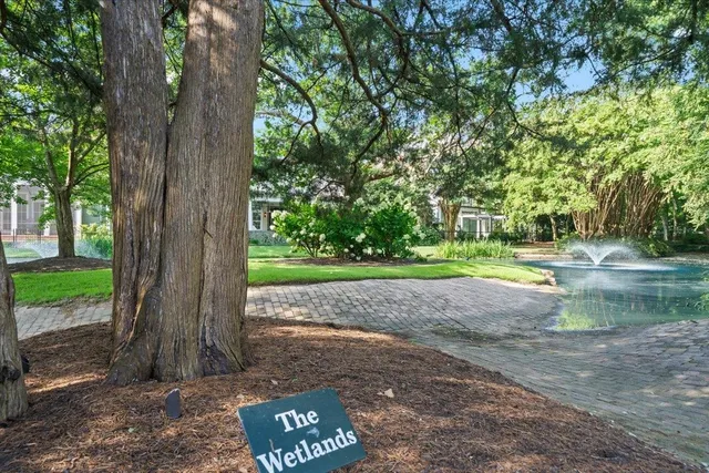 a view of backyard with green space
