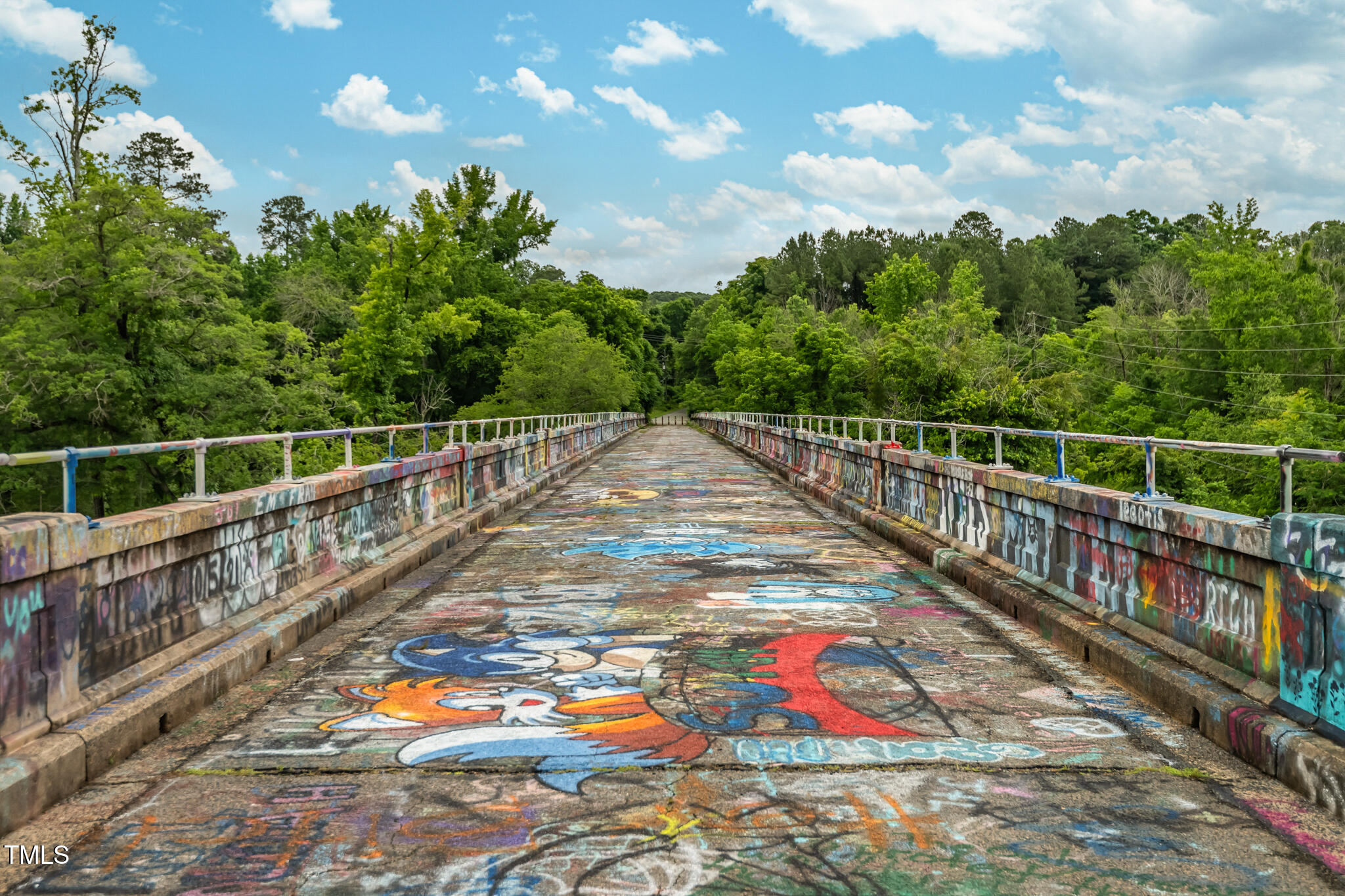 1085 Bynum Road Pittsboro, NC 27312 - Photo 38 of 41 Pedestrian Bridge over the Haw River