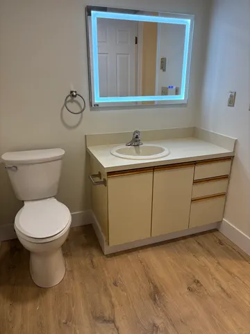 a bathroom with a sink and a toilet