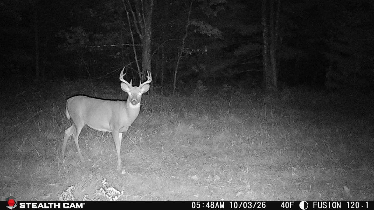 0 Mckenna Warrens, WI 54666 - Photo 67 of 70 Gallery Image 67