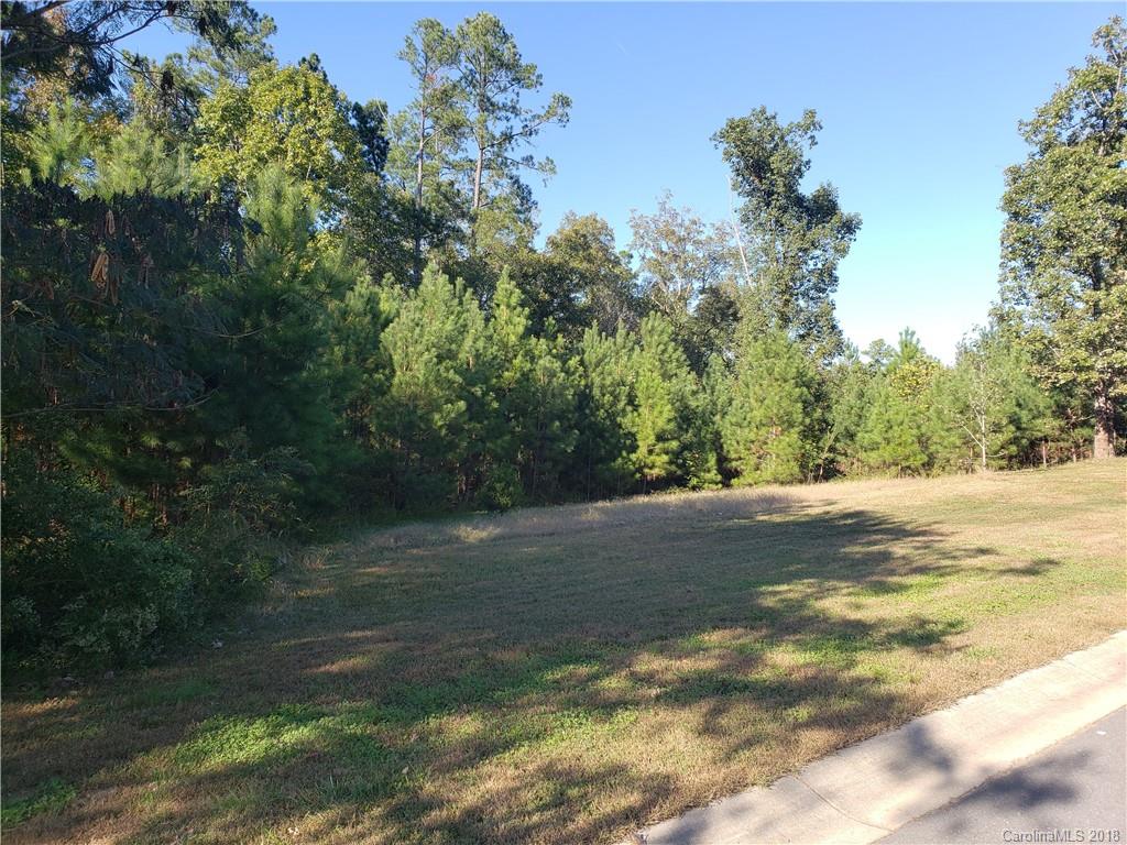 2097 Brandt Road York, SC 29745 - Photo 1 of 6 Gallery Image 1