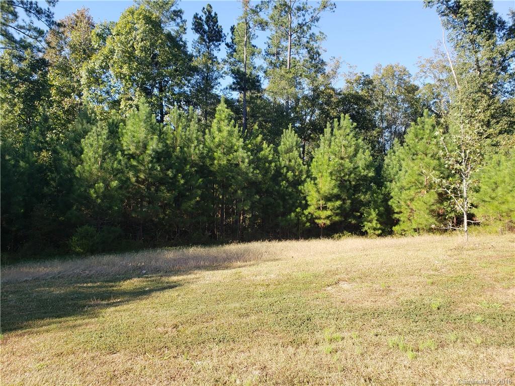 2097 Brandt Road York, SC 29745 - Photo 2 of 6 Gallery Image 2