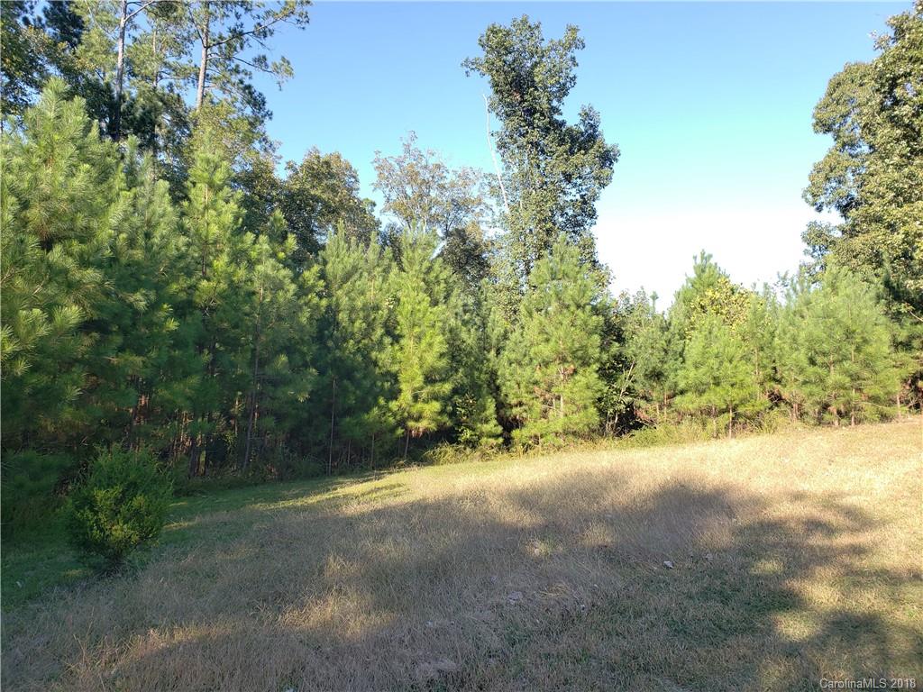 2097 Brandt Road York, SC 29745 - Photo 3 of 6 Gallery Image 3