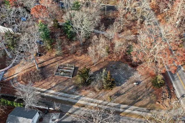 a view of a yard with trees